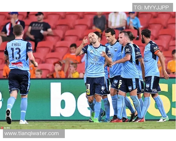 纽卡斯尔喷射机迎战悉尼FC力争主场胜利展现球队实力